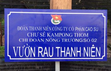 Phong trào vườn rau thanh niên